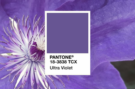 Libros según el color Pantone del año (aesthetic version) Libros según el color Pantone del año (aesthetic version)