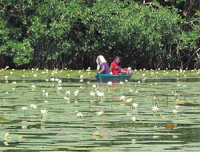 El Jardín de las ninfas. Guatemala