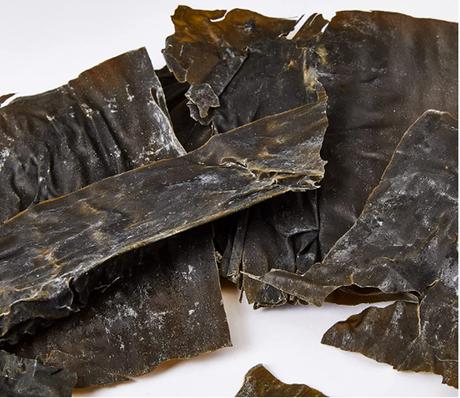 alga-kombu