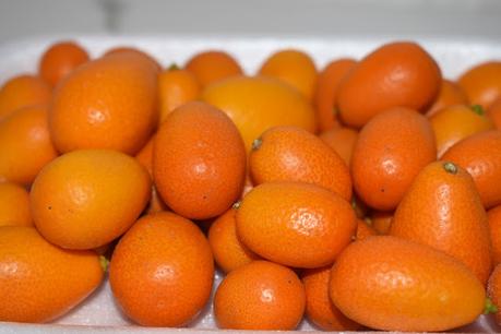 Bizcocho de Kumquat con aceite de oliva