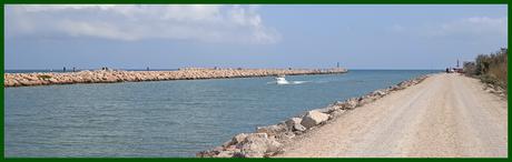 ENTREVISTA CON ESTELA MELERO