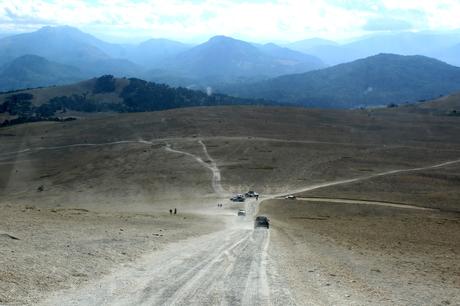 Las araucarias de Villa Pehuenia