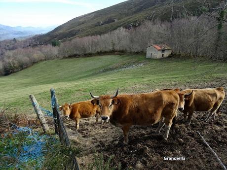 Beroñes-Picu Mayor-Trapa-Incosa-Les Cuerries