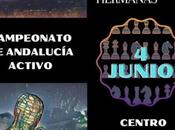 Xxxiv torneo internacional ajedrez ciudad hermanas