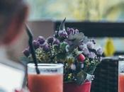 Planes ocio cultura Ponferrada Bierzo mayo 2022