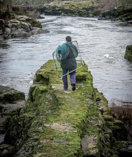 Con niños | Conocer Galicia en tren turístico 10 Con niños | Conocer Galicia en tren turístico 10