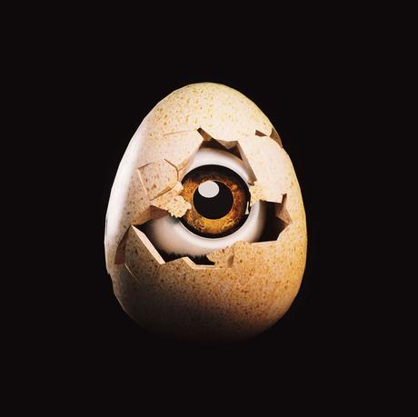 JBH Financial Group SL desarrolla una colección NFT para operar en Opensea.io