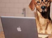 Intuición, empatía impacto toma decisiones