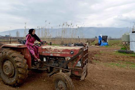 DOK.fest 2022 - Parte 7: Revoluciones DOK.fest 2022 - Parte 7: Revoluciones