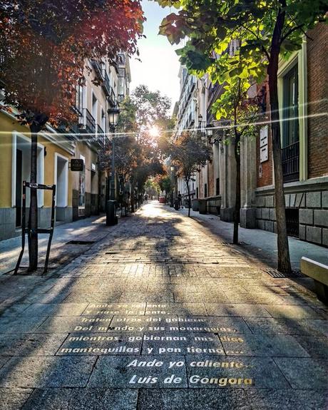 Cinco motivos para viajar a Madrid