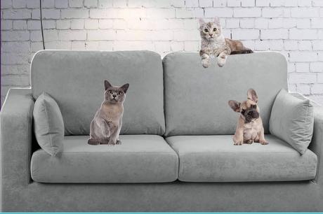 ¿Cuáles son las ventajas y desventajas de compartir el sofá con las mascotas?