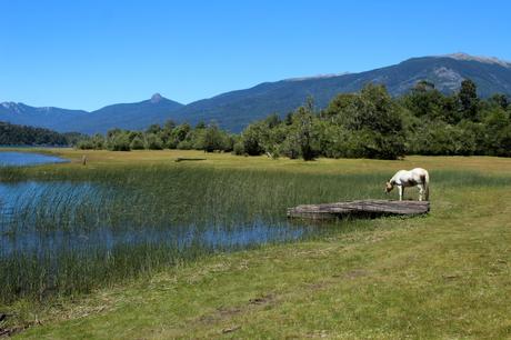 Junín de los Andes & San Martín de los Andes