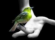 vale ciento volando
