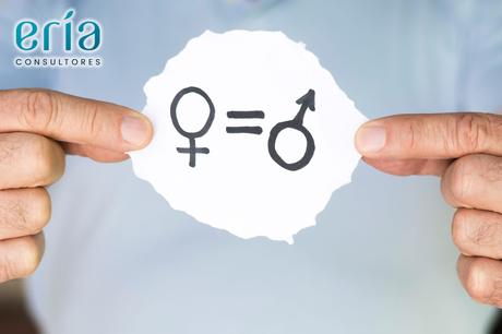 Eria Consultores explica que es el Plan de Igualdad en las empresas y cómo implantarlo