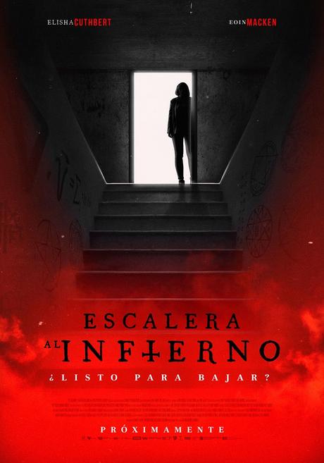 dd2cb69a-b01f-42fe-222e-0907a325bd56