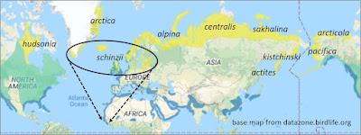 Los últimos migrantes