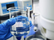 Agua Quinton: protocolo fabricación garantía calidad