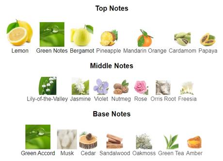 El Perfume del Mes – “CK One” de CALVIN KLEIN El Perfume del Mes – “CK One” de CALVIN KLEIN