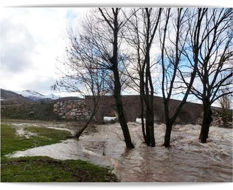 Esas almas que se quejan y lloran