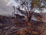 Autoridades combaten incendio en el basurero de El Zapote