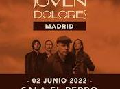 Joven Dolores Perro parte atrás coche