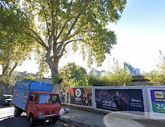 Vecinos contra tala de arbolado