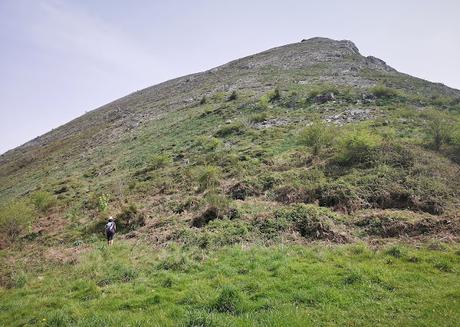 Bosque de Moal y Oubachu