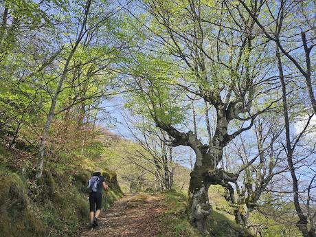 Bosque de Moal y Oubachu