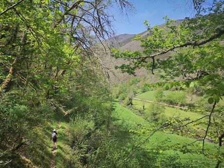 Bosque de Moal y Oubachu