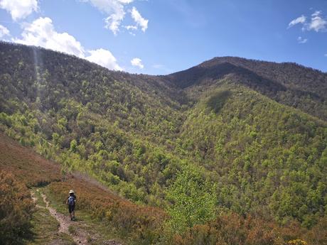 Bosque de Moal y Oubachu