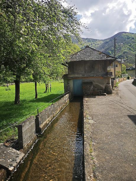 Bosque de Moal y Oubachu