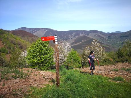 Bosque de Moal y Oubachu