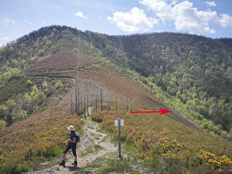 Bosque de Moal y Oubachu