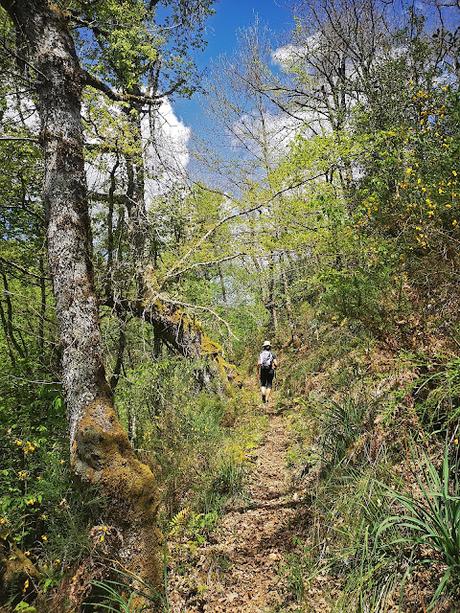 Bosque de Moal y Oubachu