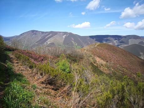 Bosque de Moal y Oubachu
