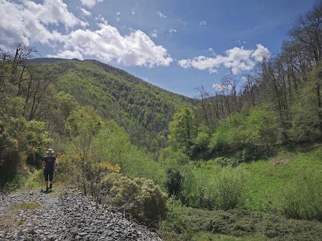 Bosque de Moal y Oubachu