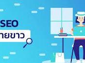 ความจริงเกี่ยวกับ รับทำ เครื่องมือจัดอันดับโลกของเลนส์ Squidoo