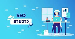 ความจริงเกี่ยวกับ รับทำ seo เครื่องมือจัดอันดับโลกของเลนส์ Squidoo