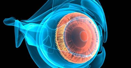 Medicina Natural para el Glaucoma