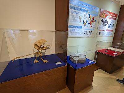 Fósiles Pokémon: ¡ahora en exposición!