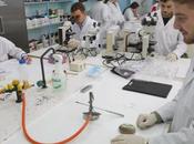 Todos alumnos hagan prácticas empresas cotizarán Seguridad Social