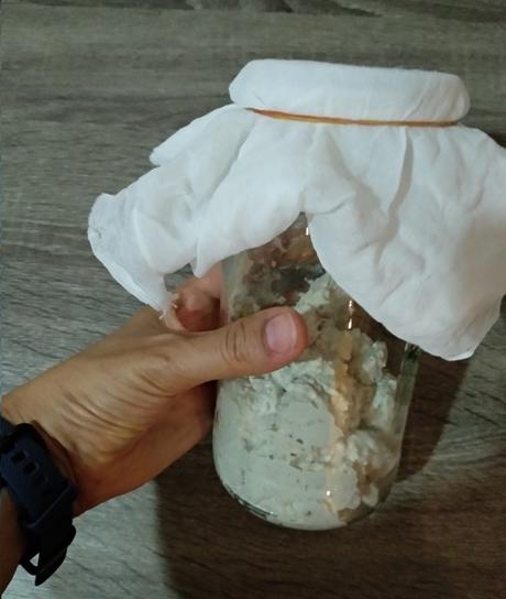 queso-de-anacardos-fermentado