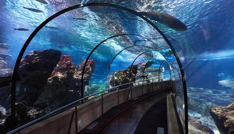 Un mar de actividades en el L'Aquàrium de Barcelona