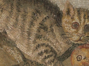 Gatos, comedores romanos despensas