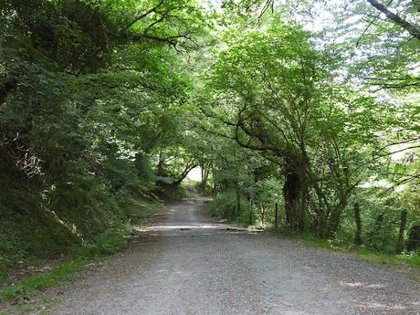 La Senda Verde de Delika