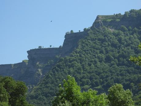La Senda Verde de Delika
