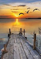 Verity. La sombra de un engaño de Colleen Hoover