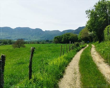 Nacimiento del Cadagua en bicicleta