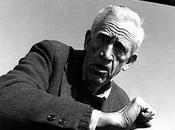 155/365 J.D.Salinger
