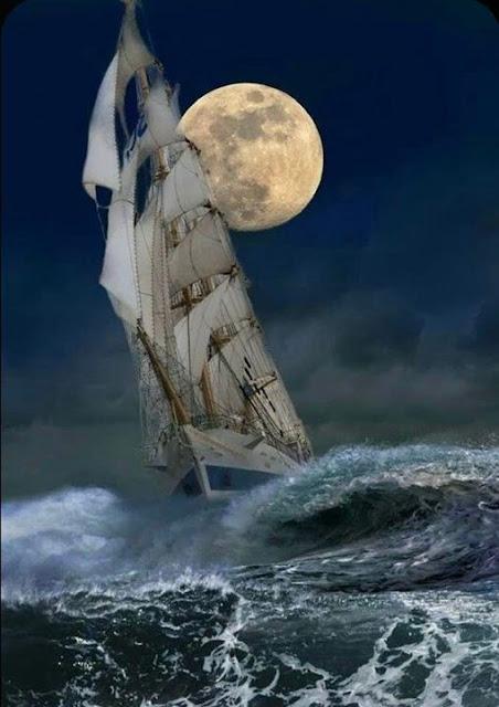 El simulacro de transparencia de la Casa Real… Y el Carnaval de Cádiz. El simulacro de transparencia de la Casa Real… Y el Carnaval de Cádiz.